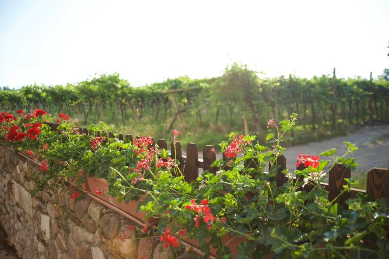 Agriturismo Albarello Sona Exteriör bild